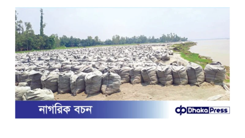 কুড়িগ্রাম পাউবোর ডা‌ম্পিংয়ে ধীরগতি, ভি‌টে হারা মানুষ