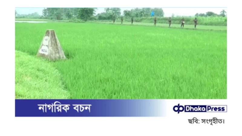মেহেরপুর সীমান্তে বিএসএফের পুশইন, নারী-শিশুসহ ৮ জন আটক
