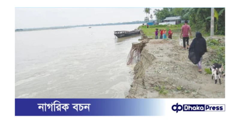 ব্রহ্মপুত্রের তীব্র ভাঙন, ভিটে হারিয়ে নিঃস্ব শতাধিক পরিবার
