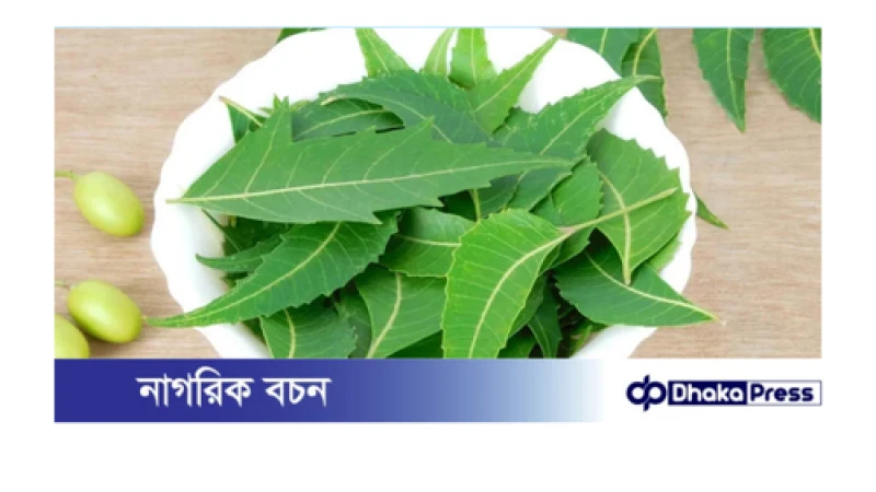 খালি পেটে নিম পাতা খাওয়ার অসাধারণ উপকারিতা