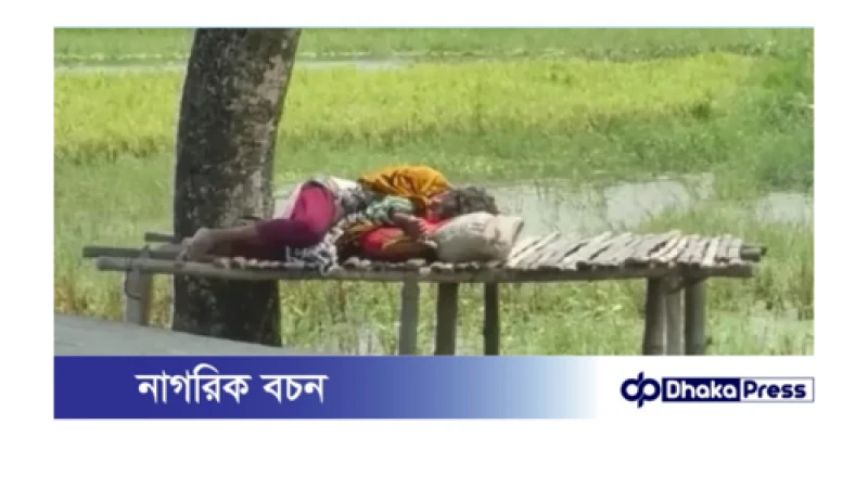 কুড়িগ্রামে অস্বাভাবিক তাপদাহে জনজীবন অতিষ্ঠ 