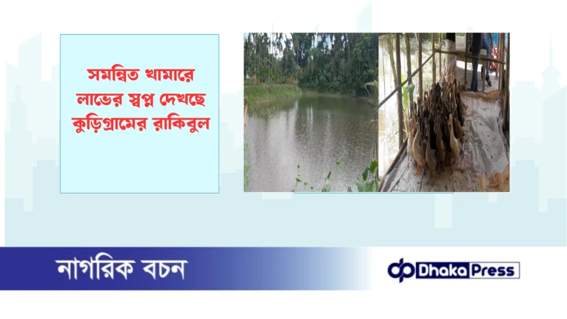 সমন্বিত খামারে লাভের স্বপ্ন দেখছে কুড়িগ্রামের রাকিবুল