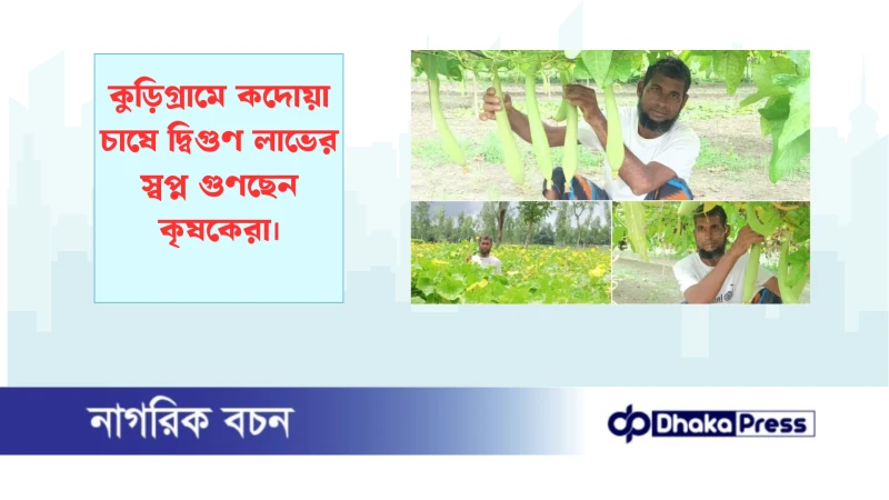 কুড়িগ্রামে কদোয়া চাষে দ্বিগুণ লাভের স্বপ্ন গুণছেন কৃষকেরা