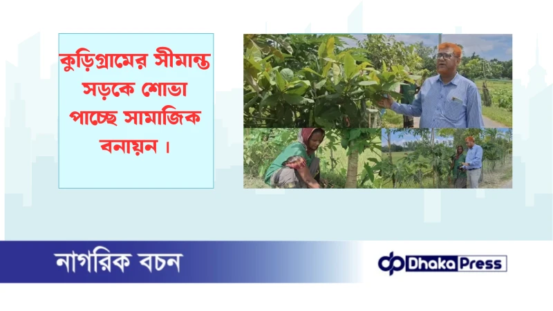 কুড়িগ্রামের সীমান্ত সড়কে শোভা পাচ্ছে সামাজিক বনায়ন
