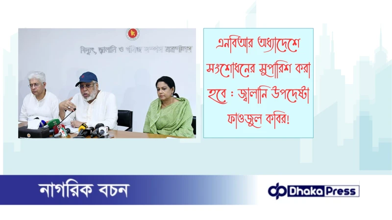 এনবিআর অধ্যাদেশে সংশোধনের সুপারিশ করা হবে : জ্বালানি উপদেষ্টা ফাওজুল কবির