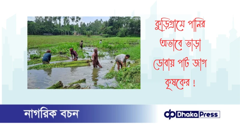 কুড়িগ্রামে পানির অভাবে ভাড়া ডোবায় পাট জাগ কৃষকের 