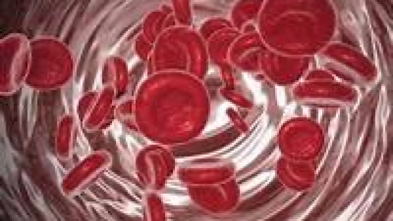 গরমে শরীরে হিমোগ্লোবিনের মাত্রা কমে গেলে করণীয়