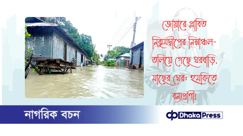 জোয়ারে প্লাবিত নিঝুমদ্বীপের নিম্নাঞ্চল-তলিয়ে গেছে ঘরবাড়ি, মাছের ঘের; হুমকিতে বন্যপ্রাণী
