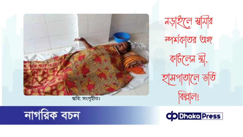 নড়াইলে স্বামীর স্পর্শকাতর অঙ্গ কাটলেন স্ত্রী, হাসপাতালে ভর্তি বিল্লাল