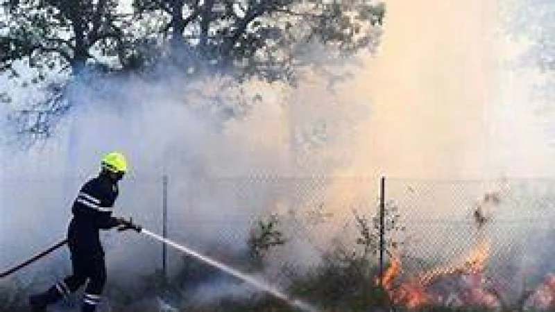 বিপর্যস্ত আমেরিকা ধোঁয়ায় কানাডার দাবানলের