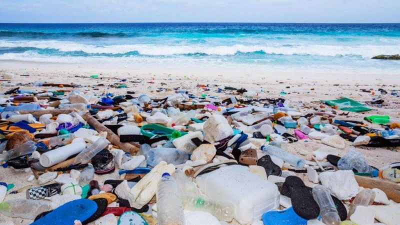 ১০ মিলিয়ন টন প্লাস্টিক যাচ্ছে বছরে সাগরে