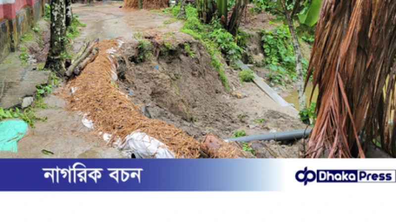 কুড়িগ্রামের ফুলবাড়ীতে ভারি বৃষ্টিতে গ্রামীণ সড়ক ভেঙে যোগাযোগ বিচ্ছিন্ন