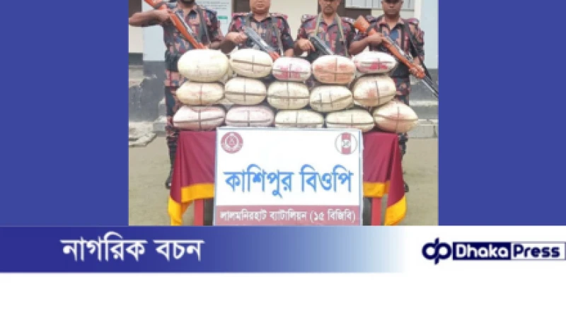 কুড়িগ্রামে বিজিবির অভিযানে ৮২ কেজি গাঁজা জব্দ