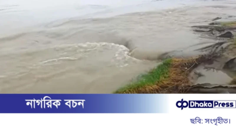 রাজশাহীতে ২৪ ঘণ্টায় স্থিতিশীল পদ্মার পানি, কিছু চরাঞ্চলে বন্যা