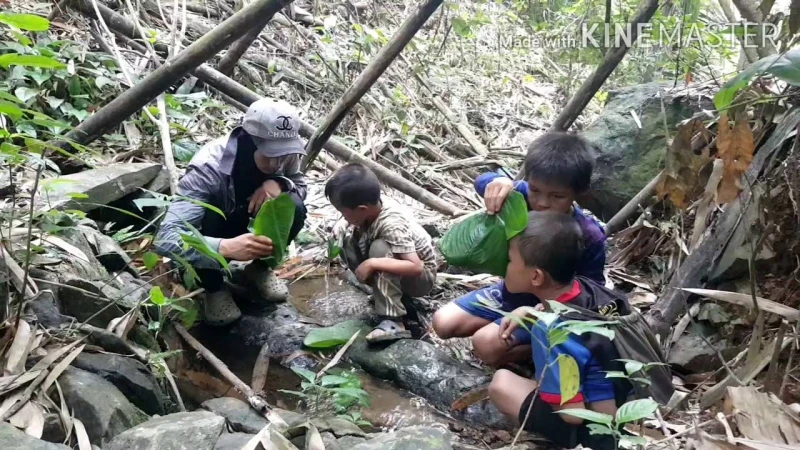 ৪০ দিন পর বিমান বিধ্বস্তের জীবিত উদ্ধার আমাজন থেকে ৪ শিশুকে