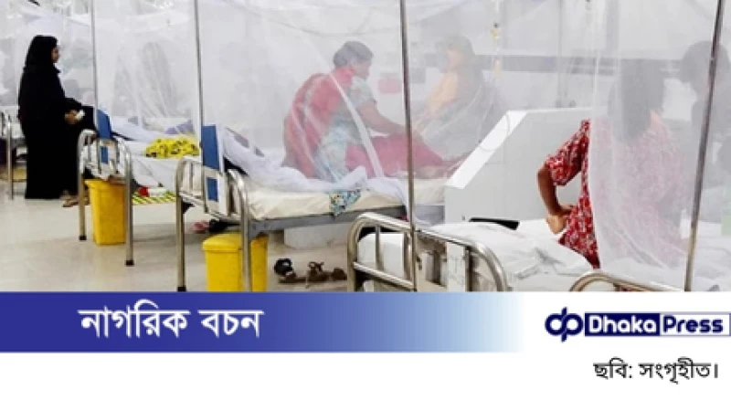 ডেঙ্গুতে একদিনে আরও তিনজনের মৃত্যু