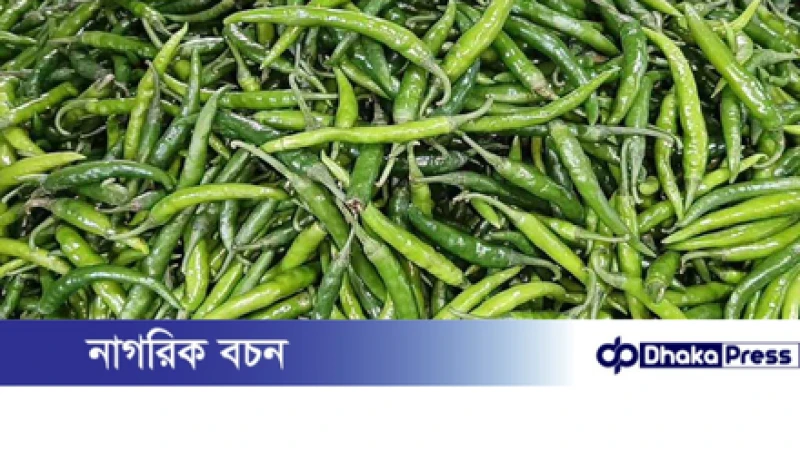 এক লাফে কাঁচা মরিচের দাম কমল ৪০ টাকা