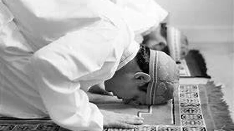 কেন আল্লাহর কাছে দৌড়ে যাবেন