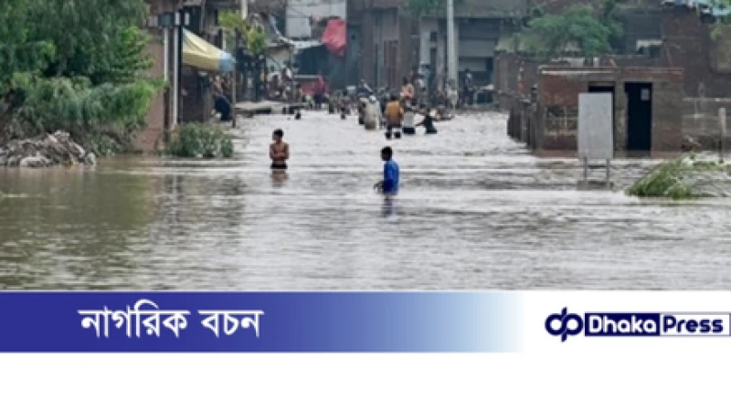 পাকিস্তানে ভয়াবহ বন্যা: ঘরছাড়া ২০ লাখ মানুষ, পাঞ্জাবে মৃত্যু অন্তত ৩৩