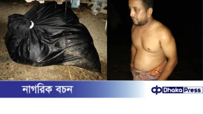 বড়াইগ্রামে প্রায় ৪০ কেজি গাঁজা উদ্ধার, ড্রাইভার গ্রেফতার