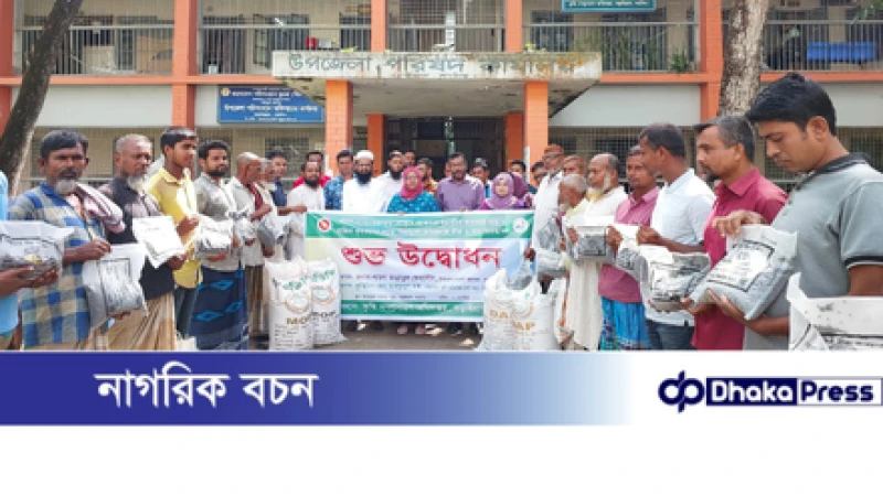 নাটোরের বড়াইগ্রামে ক্ষুদ্র কৃষকদের মাঝে বিনামূল্যে মাসকালাই বীজ ও সার বিতরণ