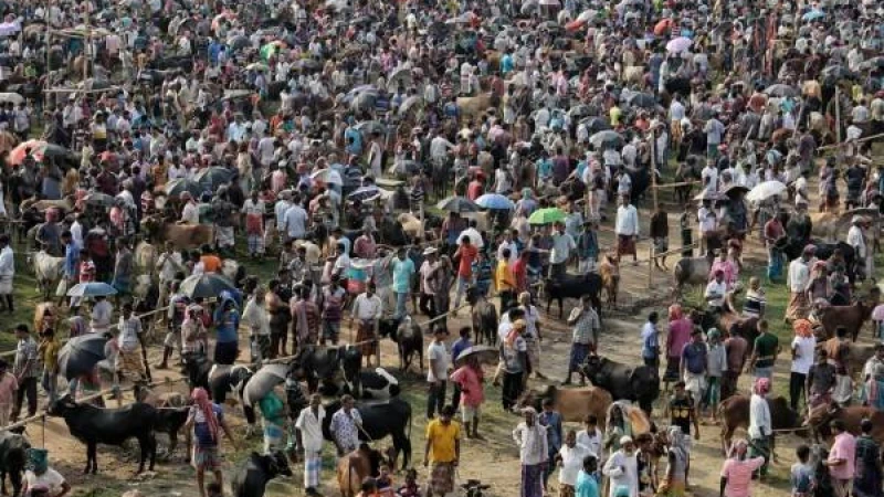 নওগাঁর বদলগাছী কোলার হাটে অতিরিক্ত টোল আদায়