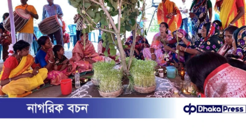 কারাম উৎসবে রঙের ছটা চলনবিলের আদিবাসী পল্লীতে