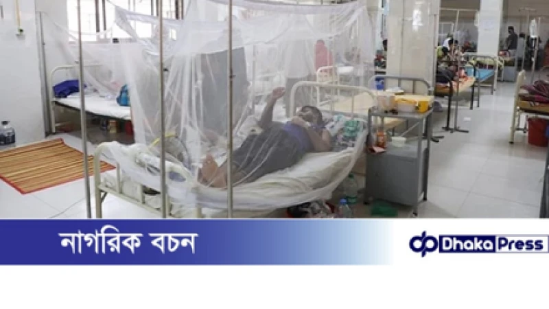 ডেঙ্গুতে আরও দুইজনের মৃত্যু