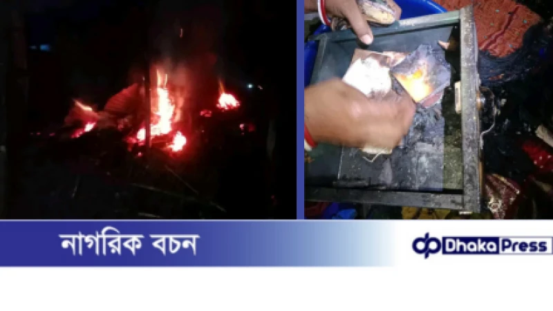 বড়াইগ্রামে ভয়াবহ অগ্নিকাণ্ডে দুই পরিবারের সর্বস্ব পুড়ে ছাই, মারা যায় ৪ টি ছাগল