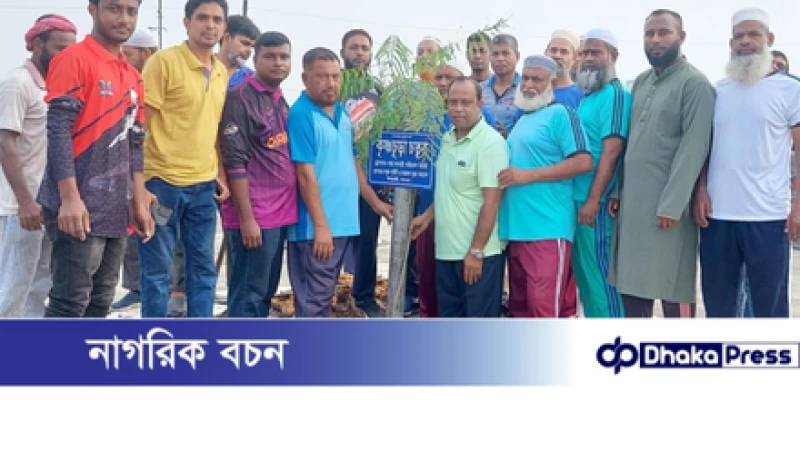 ঈশ্বরদী জংশনে আবারও শোভা ছড়াবে কৃষ্ণচূড়া