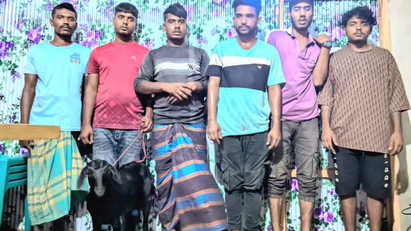 মুরাদনগরে ছাগল চুরির সময় ধরা, গণপিটুনির পর ছয়জন কারাগারে