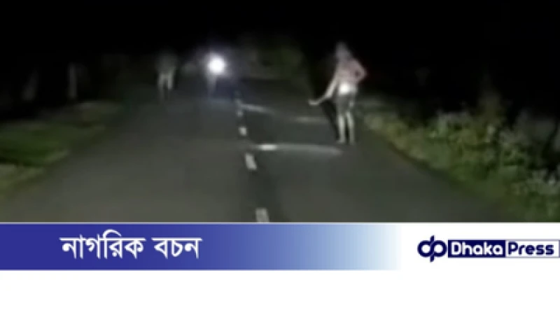 গোমস্তাপুরে সড়কে গাছ ফেলে ডাকাতির চেষ্টা, ভিডিও ভাইরাল