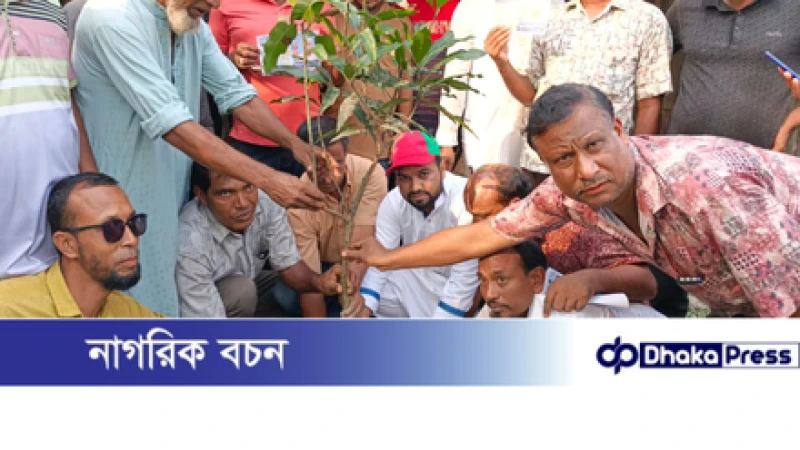 🌿 ফুলবাড়িতে পরিবেশ রক্ষায় ছাত্রদল নেতার বৃক্ষরোপণ কর্মসূচি