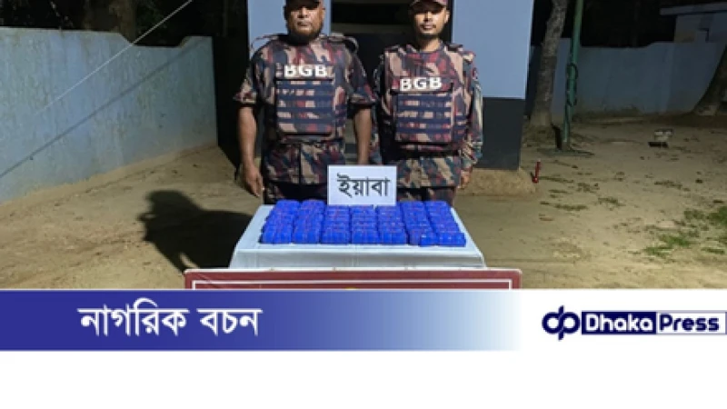 উখিয়ায় বিজিবির অভিযানে এক লাখ ইয়াবা উদ্ধার