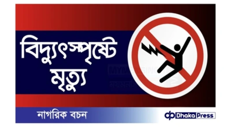 ময়মনসিংহে গাছের ডাল কাটতে গিয়ে বিদ্যুৎস্পৃষ্টে কিশোরের মৃত্যু