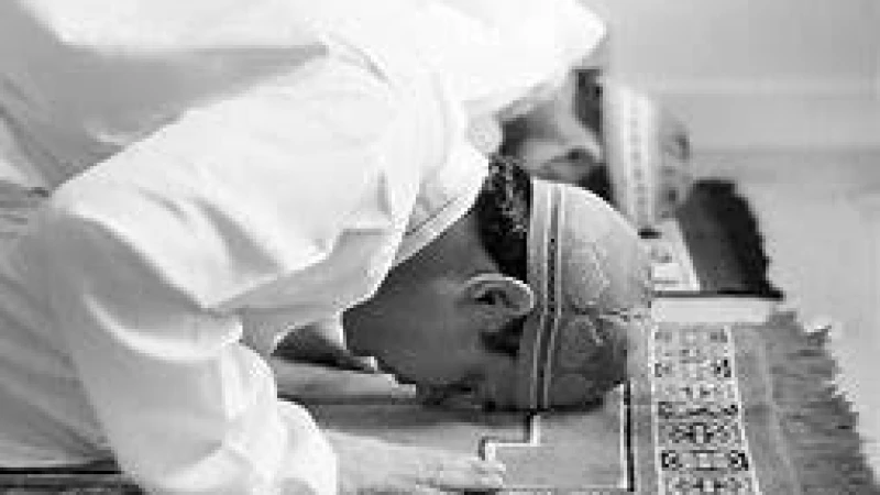 মুমিনের জন্য কল্যাণকর দ্বিনের জ্ঞান