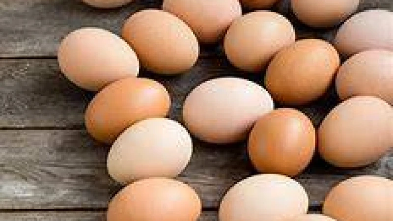 বাগেরহাটের শরণখোলাইয় পচা ডিম-কাপড়ের রং দিয়ে তৈরি হয় কেক-বিস্কুট