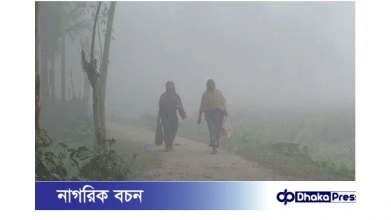 কুড়িগ্রামে শীতের তীব্রতা বাড়ছে, ঘন কুয়াশায় ব্যাহত স্বাভাবিক জীবনযাত্রা
