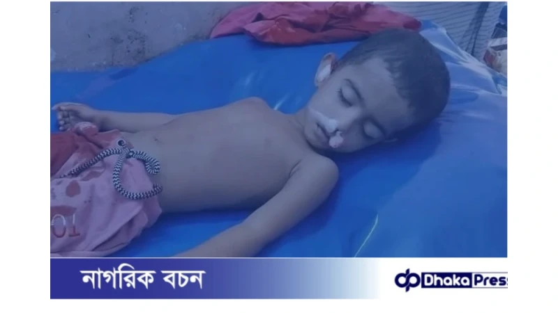 হোমনায় এসিল্যান্ডের গাড়ির চাপায় দুই বছরের ফাইজা নিহত