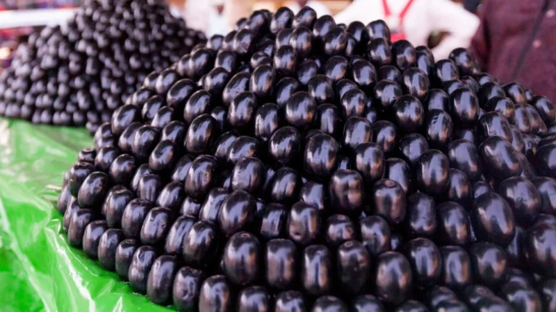 জামের বীজের উপকারিতা