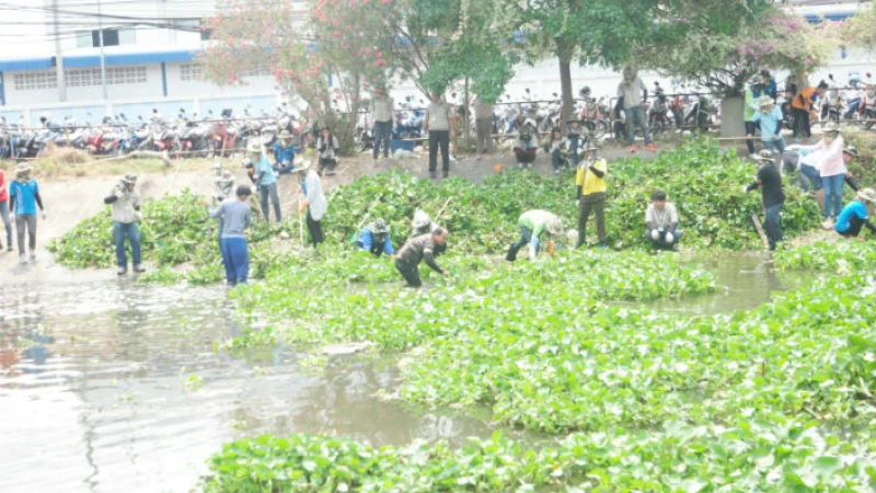 ফরিদপুরে স্বেচ্ছাশ্রমে চল‌ছে প‌রিচ্ছন্নতা অভিযান কুমার ন‌দে