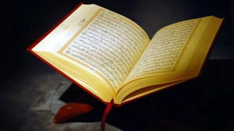 ১০ সুসংবাদ তাকওয়া অবলম্বনের কোরআনে