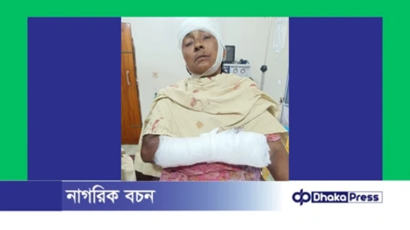 রৌমারীতে শাশুড়িকে কুপিয়ে গুরুতর জখম, জামাই পলাতক