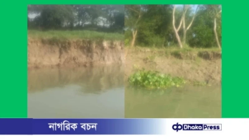 হোমনায় তিতাস নদীর ভাঙনে কৃষিজমির ব্যাপক ক্ষতি, হুমকিতে বসতবাড়ি