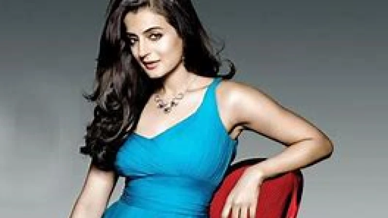 আর্থিক প্রতারণা মামলায় জড়িয়ে পড়েছেন আমিশা