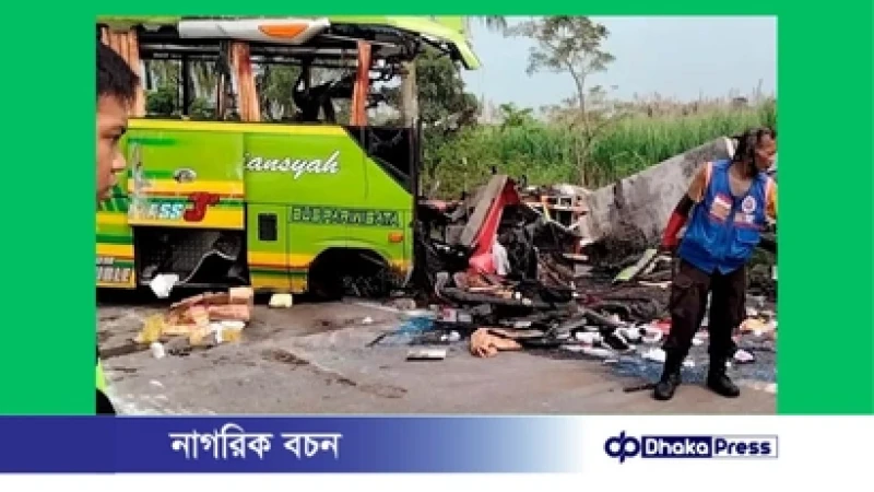 ইন্দোনেশিয়ায় বাস উল্টে ১৬ জনের মৃত্যু