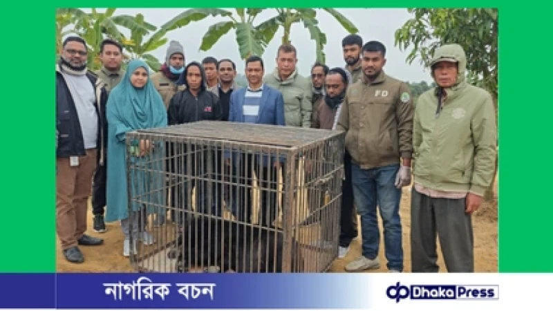 খাগড়াছড়িতে বন বিভাগের অভিযানে বিলুপ্তপ্রায় ভালুক, হরিণ ও বানর উদ্ধার