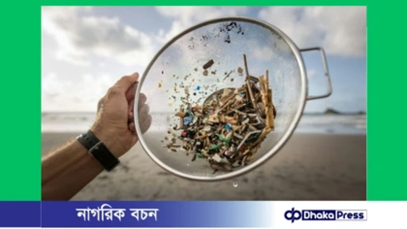 বঙ্গোপসাগরের দুই হাজার মিটার গভীরে মিলল প্লাস্টিক, উদ্বেগ প্রধান উপদেষ্টার
