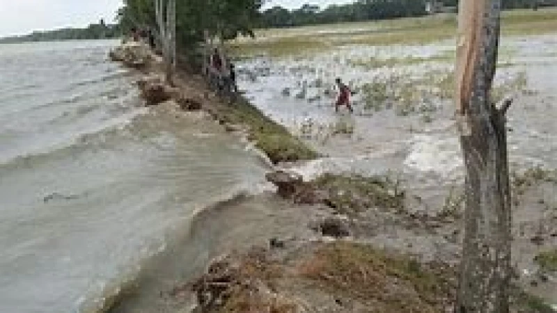 পাহাড়ি ঢল ও বৃষ্টির হাওরে ঢুকছে পানিে