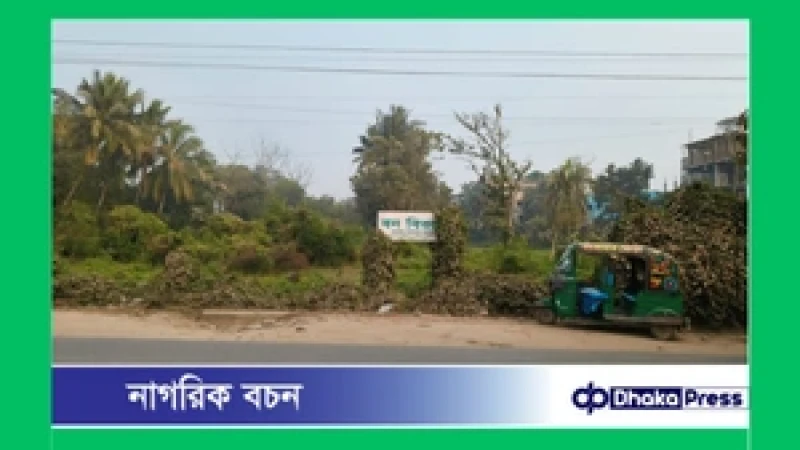 মুরাদনগরে বন বিভাগের কার্যালয়ই এখন জঙ্গল: দায়িত্বে অবহেলা, অনুপ্রবেশ ও মাদকের নিরাপদ আশ্রয়ের অভিযোগ